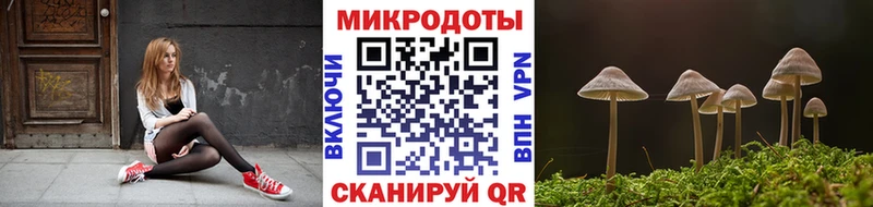 Псилоцибиновые грибы MAGIC MUSHROOMS где продают Котлас