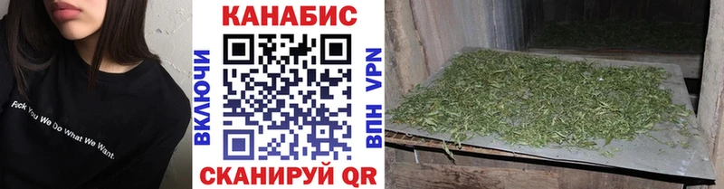 Канабис SATIVA & INDICA  как найти закладки  Котлас 